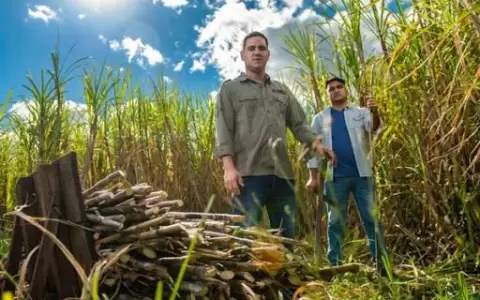 Analizan alcance que tendr�a para azucareros el proyecto sobre importaci�n
