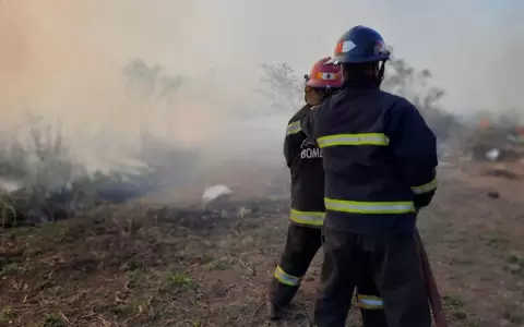 Incendio arras� con pastizales en inmediaciones de la Costanera de Asunci�n