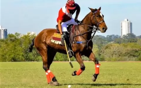 Paraguay vanguardista en el polo latinoamericano