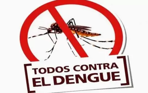 El Dengue sigue causando estragos en poblaci�n