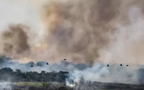 Declaran emergencia ambiental para Boquer�n