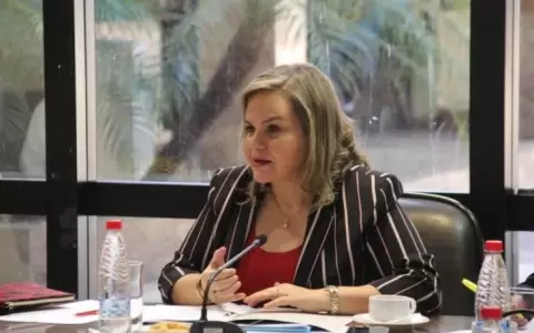 Lilian contra destituci�n de Friedmann y Zacar�as Ir�n