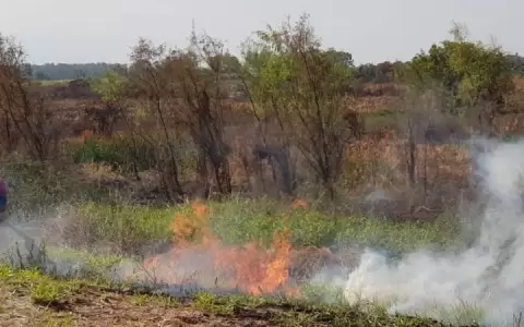 Investigan a Abdala y politicos de izquierda por invasi�n de tierras en la Costanera