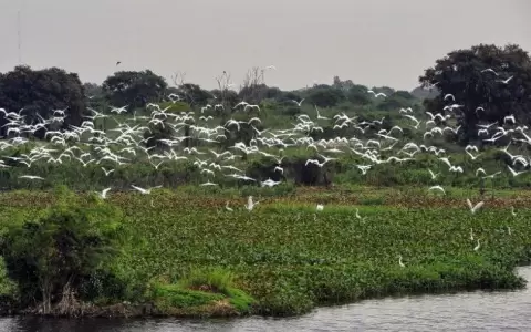 Piden redoblar esfuerzos para proteger Reserva Ecol�gica San Miguel