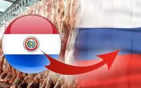 Brasil reduce market share de carne paraguaya en Rusia