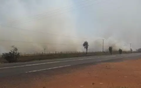 Ocho desconocidos armados atacan estancia en Yby Ya�