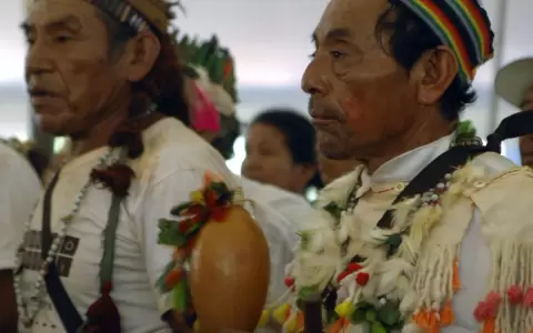 Teko Pa? Tavyter�: espiritualidad, conocimientos y pr�cticas tradicionales
