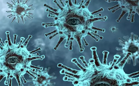 M�s de 280.000 muertes en Am�rica Latina a causa del coronavirus