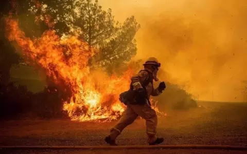 Desidia en pol�tica ambiental encendi� mecha de arrasadores incendios