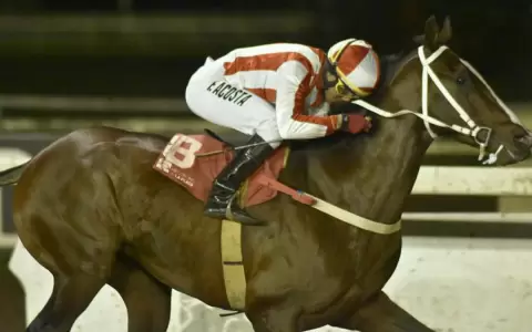 La historia del jockey paraguayo que es galardonado en Italia