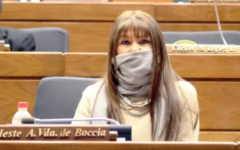 Segundo suplente del PLRA solicita al TSJE jurar en banca de Celeste Amarilla