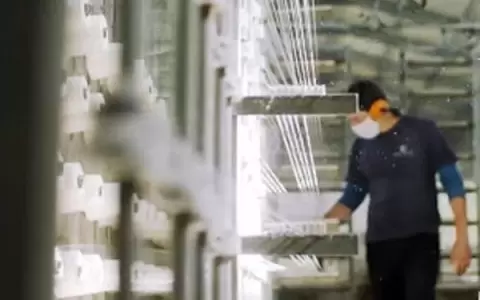 La pandemia, crisis y oportunidad para la industria textil nacional