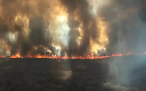 Incendios: ex ministro del Ambiente pide aplicar todo el peso de la ley