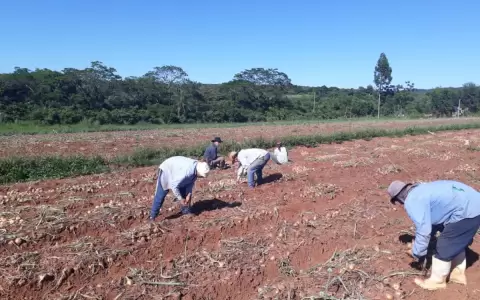MAG y campesinos acuerdan refinanciar deudas del sector agr�cola
