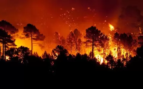Los incendios y el fuego, habito innato que nos hace mucho da�o