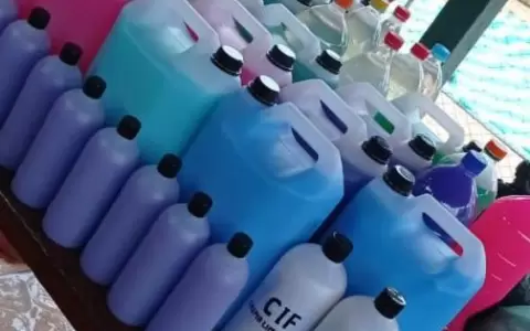 La pandemia y el aprendizaje de salir adelante como sea