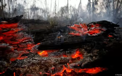 Focos de incendios se redujeron en un 80% este fin de semana