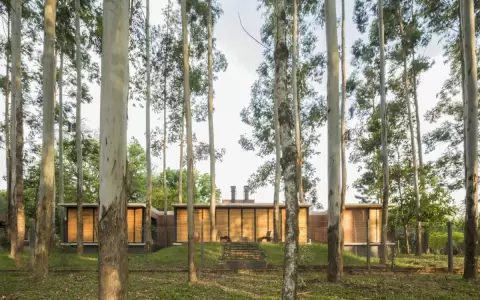 Desde Diputados buscan impulsar protecci�n de bosques