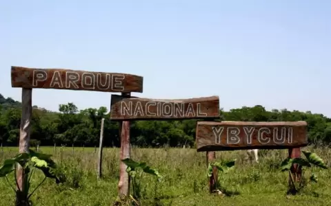 Senador Fidel Zavala figura entre ocupantes del Parque Nacional Ybycui