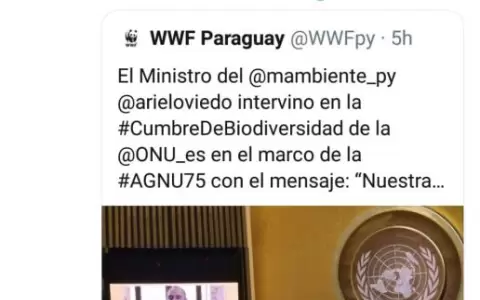 Pedidos de renuncia de Ariel Oviedo son tendencia en redes