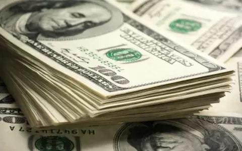 Cr�ditos en d�lares pierden preferencia en el sistema financiero paraguayo