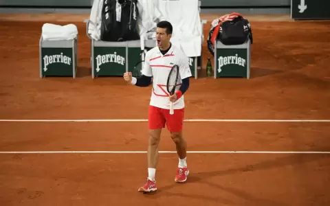 Djokovic se mete en semifinales tras superar a un duro Carre�o