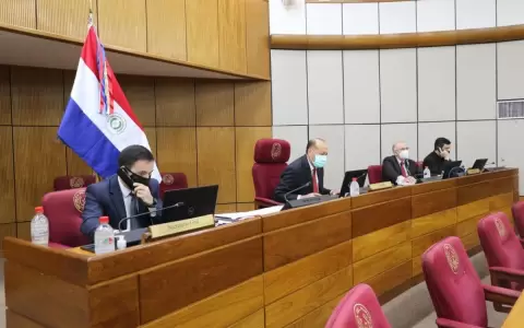 �Senado marca territorio a la Corte en clara intromisi�n de poderes�, Luis Lezcano Claude