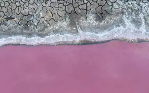 Laguna Cerro: empresa sigue operando de forma clandestina pese a prohibici�n