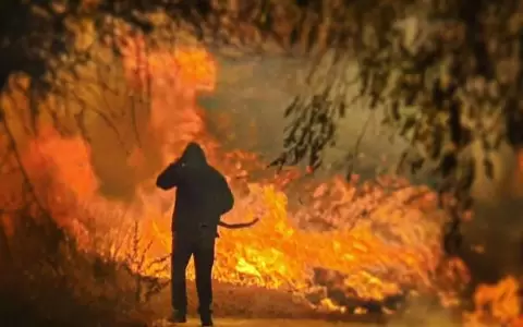 Congreso declara Emergencia Nacional por incendios