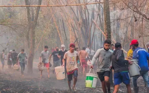 Riesgos de enfermedades cr�nicas, fibre amarilla y hantavirus a consecuencia de los incendios