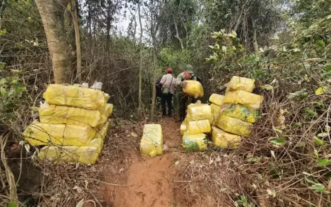 Operativo veda pesquera termina en incautaci�n de m�s de 1000 k de marihuana