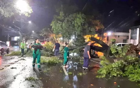 Tras la tormenta no siempre sale el sol, en este caso quedaron 100.000 afectados por la Ande