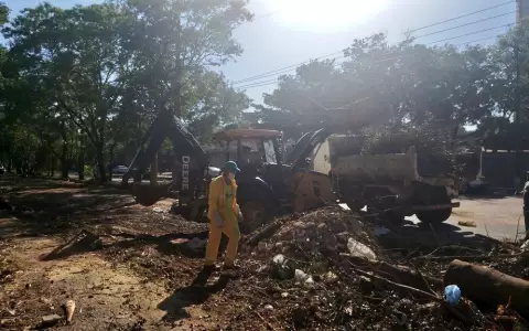 Asunci�n perdi� 448 �rboles tras la �ltima tormenta