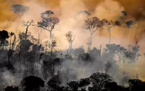Contin�an los incendios en Brasil