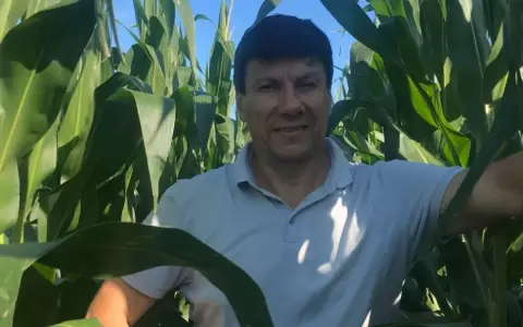 Walter Harms: �Itap�a puede ofrecer productos muy atractivos para Argentina y Brasil�
