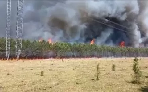 Incendios en Isla Yacyret� y Ayolas fueron provocados