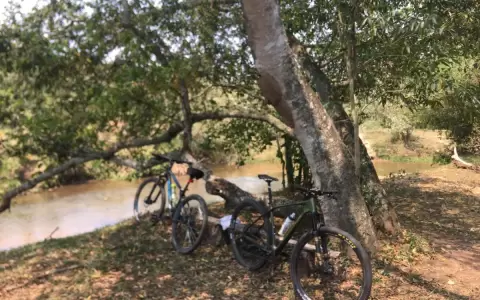 Biciturismo Etnobot�nico, un aprendizaje natural