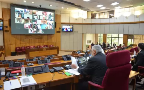 Senado aprueba por unanimidad permiso de Castiglioni y asume el cartista Arnaldo Franco
