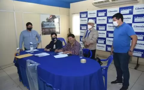 Liberales llanistas piden a Alegre hacer otra convenci�n