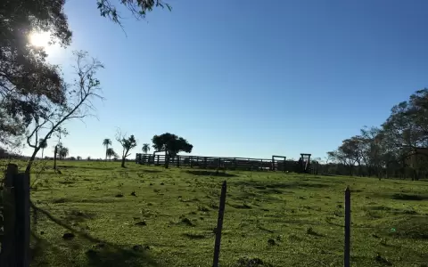 Conservaci�n de la naturaleza y producci�n: dos caras de la misma moneda