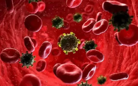 ONU pronostica hasta 148.000 muertes adicionales por Sida hasta 2022