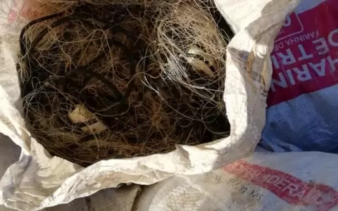 Decomisan en Pilar 3000 metros de redes de pesca prohibidas en plena veda