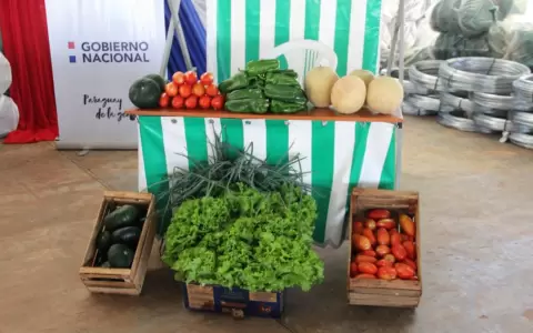 Programa �Mi Huerta� entreg� insumos a 378 familias de Caaguaz�