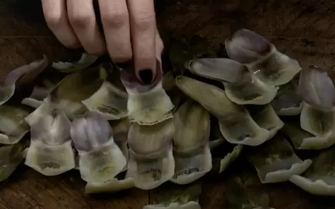 Videoclip: el pliegue neobarroco o la est�tica del parpadeo