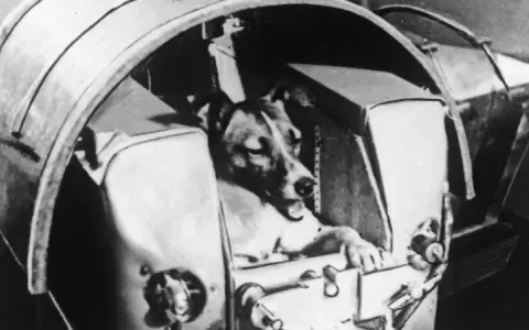 La incre�ble odisea al espacio de la perrita Laika