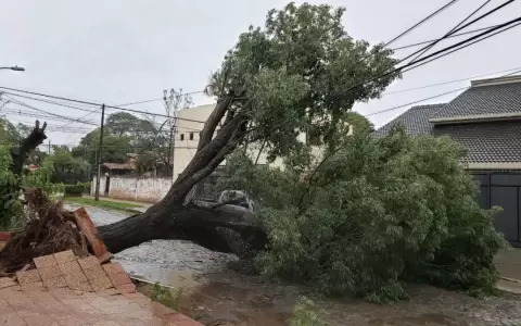 Meteorolog�a registr� vientos de hasta 118 km/h durante tormenta