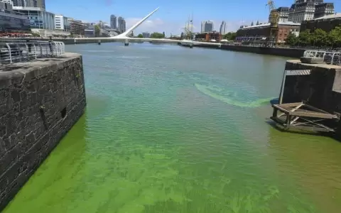 Gran cantidad de cianobacterias en las aguas del R�o de la Plata