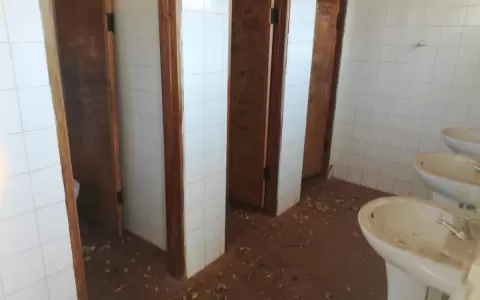 Mucho protocolo anti Covid pero...�c�mo est�n los colegios en cuanto a infraestructura?