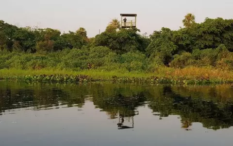 El doble desaf�o de cuidar la biodiversidad y las �reas protegidas del Paraguay
