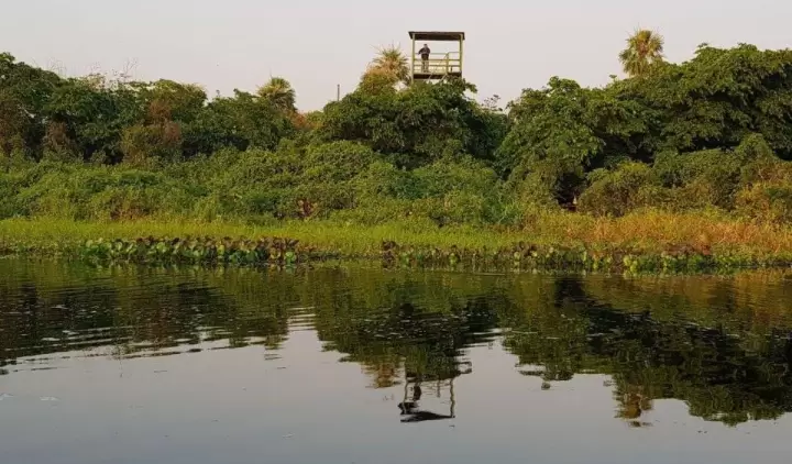 El doble desaf�o de cuidar la biodiversidad y las �reas protegidas del Paraguay.